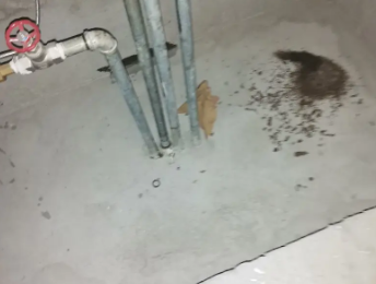 花都卫生间测漏水价格明细